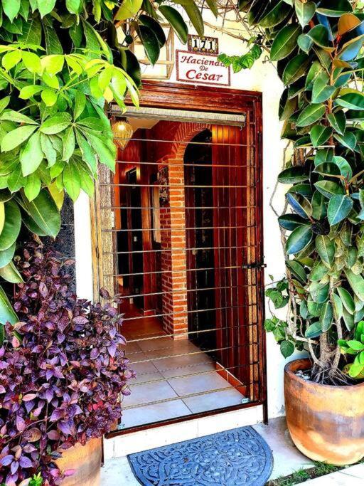 Hacienda En Primavera, Descanso Familiar Total Puerto Vallarta Exterior foto